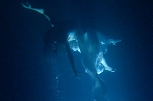 Photo Credit - Kira Perov 2005