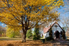 2011119-under-st-andrew-by-the-lake