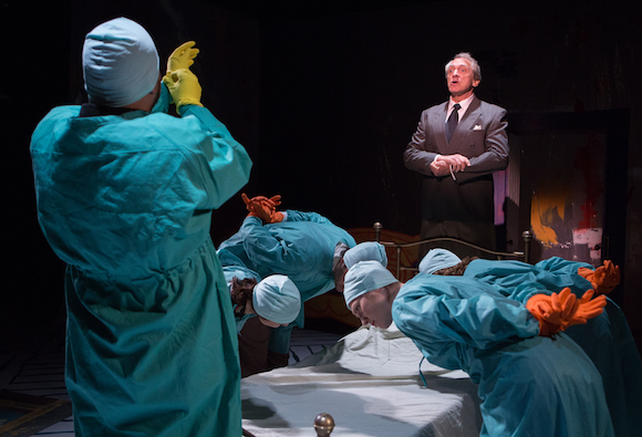 Charlotte, Theaturtle