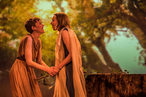 Pomegranate-photobyDahliaKatz-1714