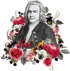 TBF_Website_Working_V1-37