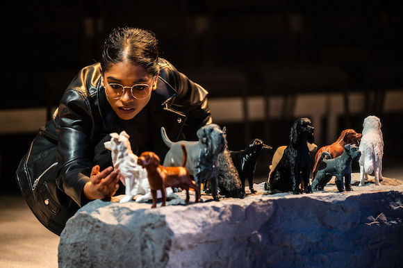 7.FifteenDogs_DahliaKatz_2637