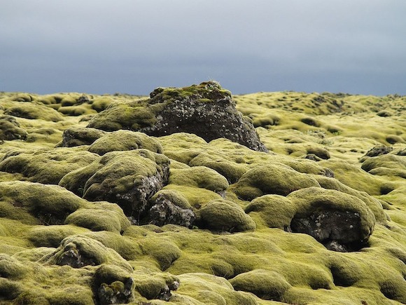 mossy-lava-fields-iceland-56
