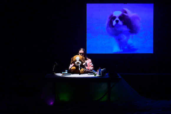 03 i am your spaniel_Photo by Henry Chan