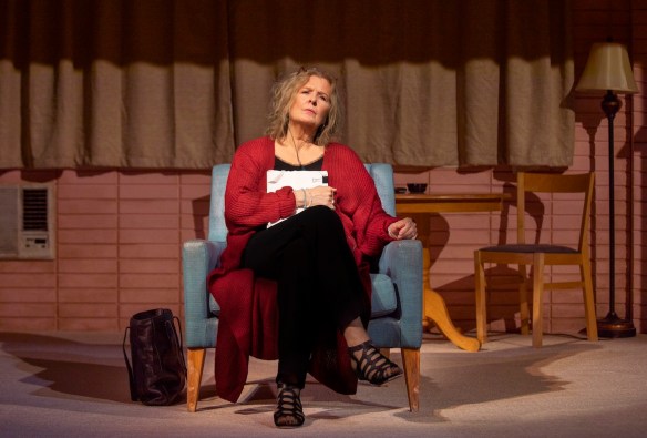 2JordanBaker as Dana H._photobyJohnLauener