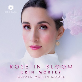 roses in bloom